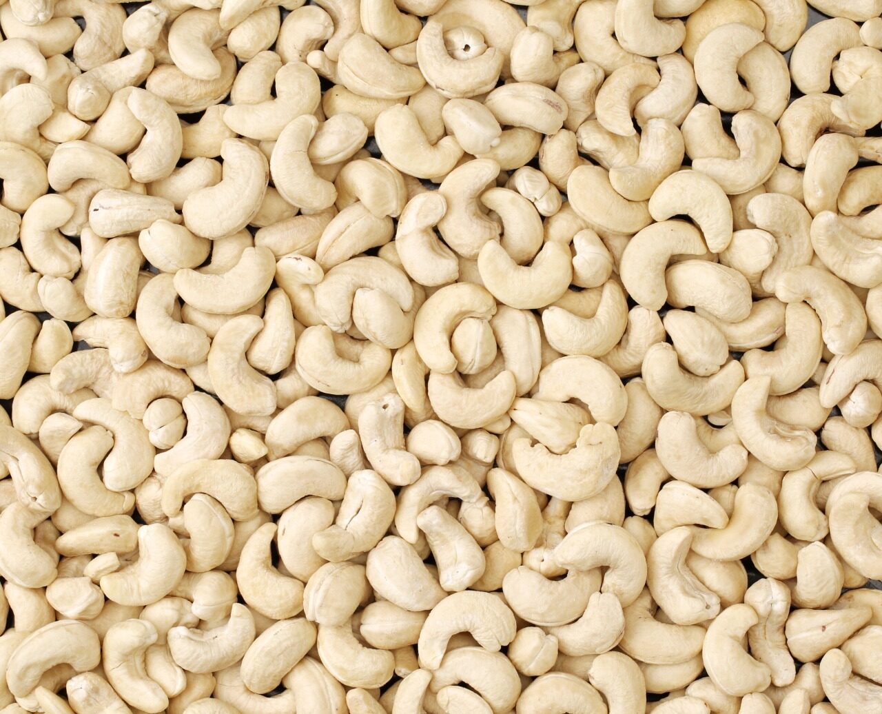 Cashew Kernels